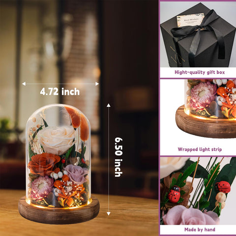 HUACHIPLUS LED light under dome creating soft ambient glow for mood