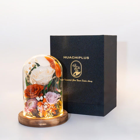 HUACHIPLUS tabletop lifestyle display enhancing home decor and atmosphere
