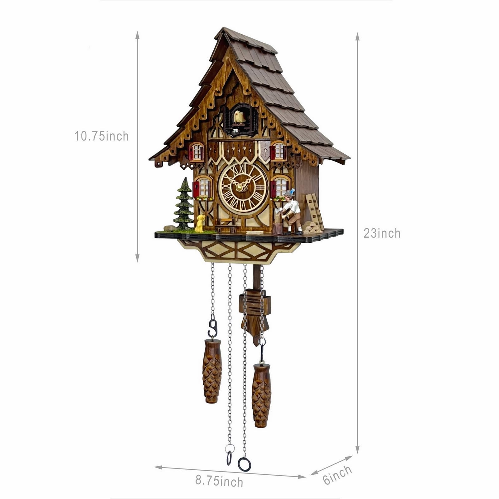 HUGE HAPPINESS cuckoo bird emerging mid-call showing charming hourly feature
