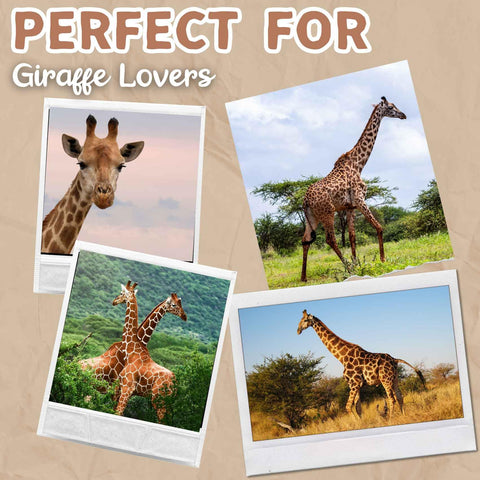 Huglanket giraffe size comparison on adult illustrating full coverage