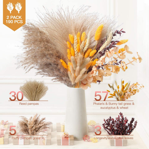 HUMINBO close-up of soft pampas plume showing silky texture benefit