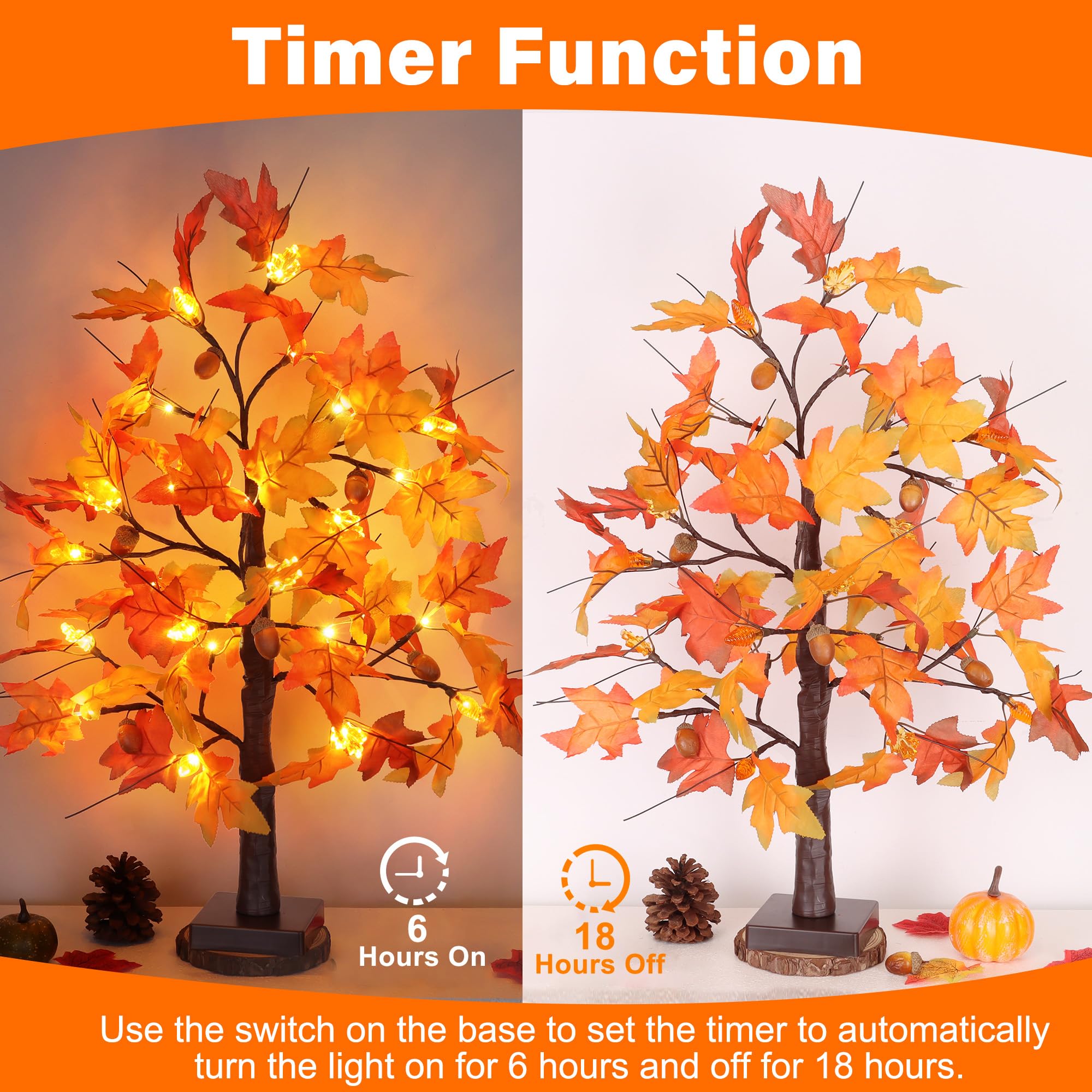 Huyamap battery box and 6-hour timer for convenient operation