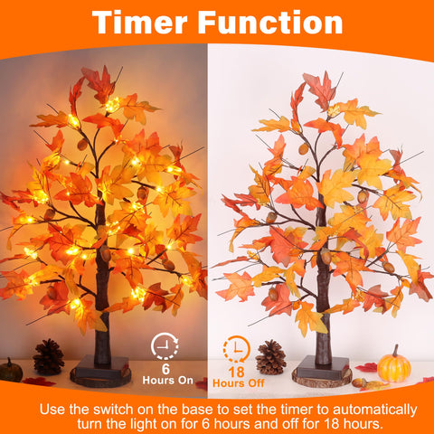 Huyamap battery box and 6-hour timer for convenient operation