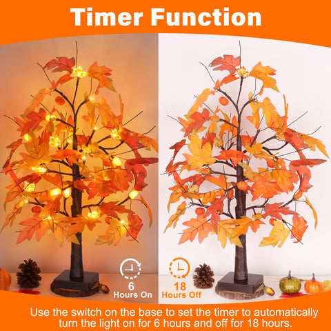 Huyamap battery compartment and timer for convenient automatic lighting