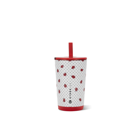 HydroJug ladybug front view showing design and compact size, easy-carry benefit