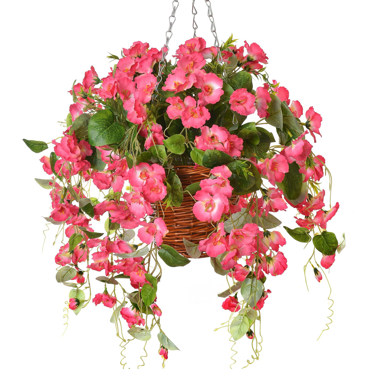 HyeFlora front view hanging basket showing full hibiscus display and curb appeal