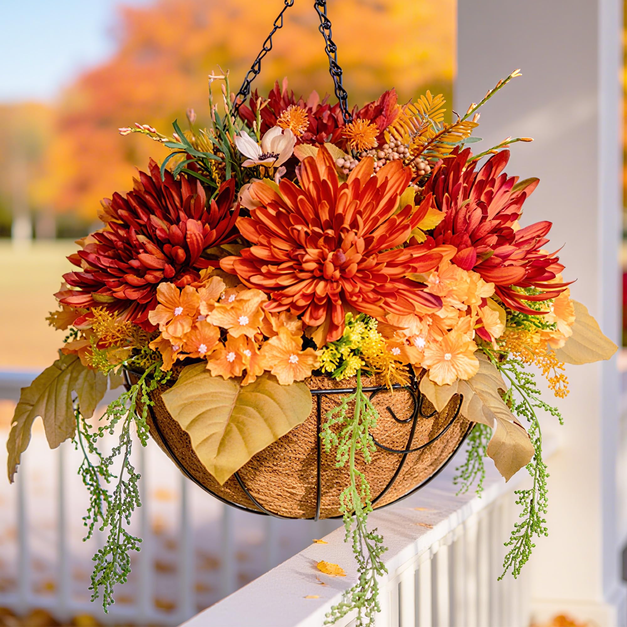 HyeFlora front view of hanging mums basket showing full orange blooms and basket benefit