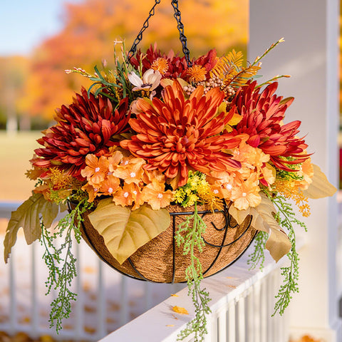 HyeFlora front view of hanging mums basket showing full orange blooms and basket benefit