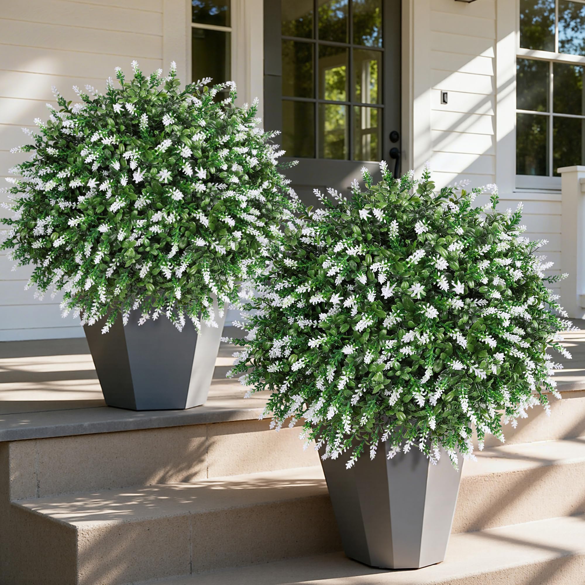 HyeFlora front view showing two topiary trees for instant curb appeal