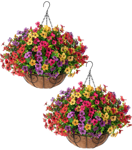 HyeFlora front view of two hanging baskets showing bright daisies and curb appeal