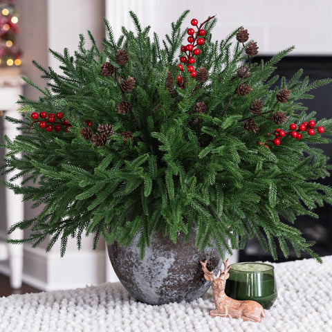 HyeFlora front packaging showing 17 Norfolk pine stems for quick setup