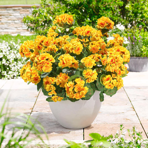 HyeFlora outdoor geraniums with water droplets showing waterproof, UV-resistant finish