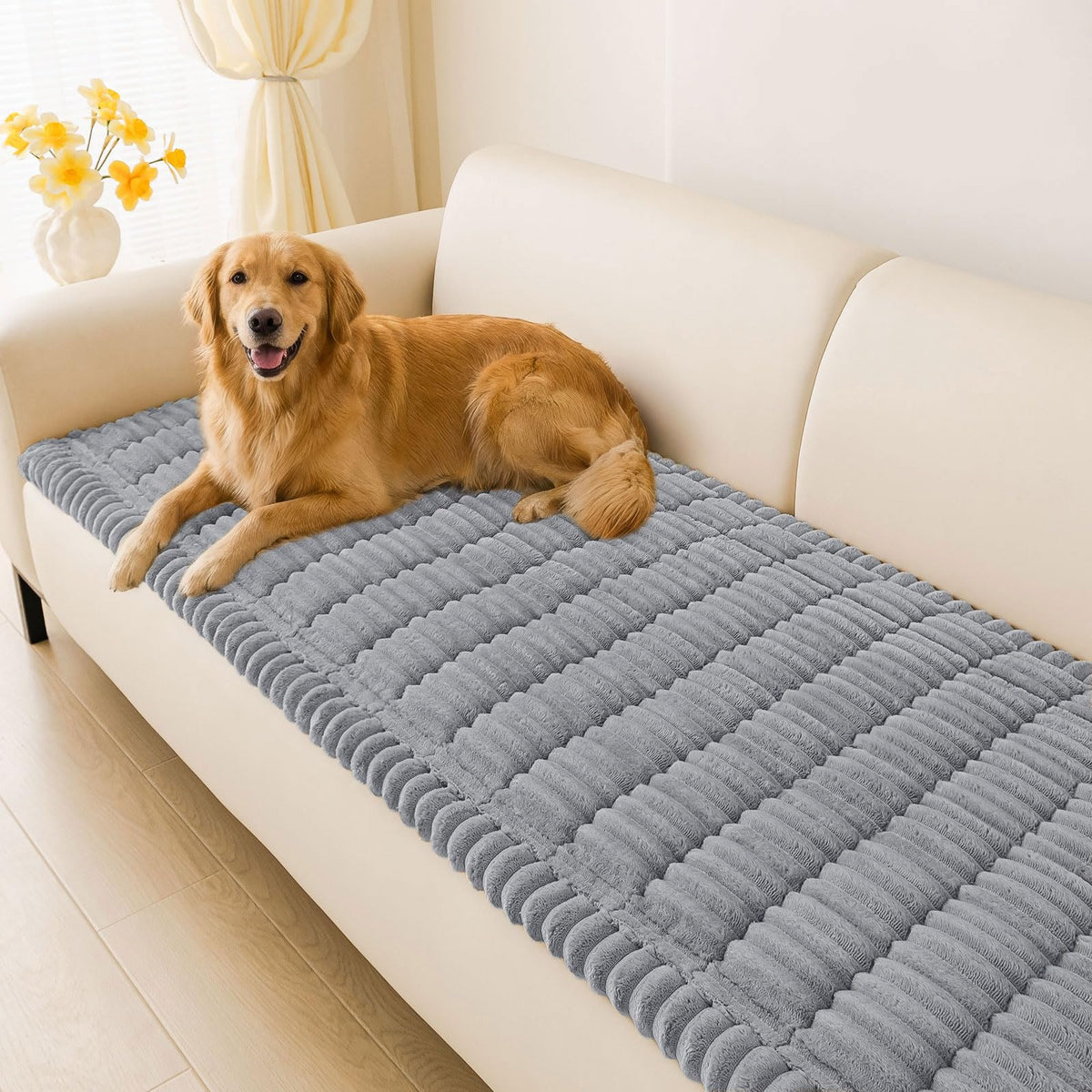 hyha front view showing full sofa cover protecting furniture