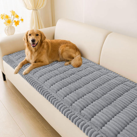 hyha front view showing full sofa cover protecting furniture