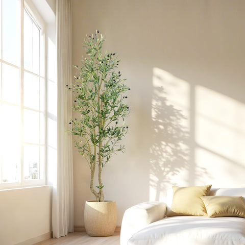 HZXGCP tree staged in living room showing Mediterranean style and room-enhancing effect