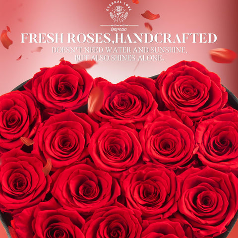 Impouo open box display revealing full 16-piece rose arrangement for gifting