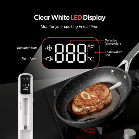 Inkbird mini connected app screen showing Bluetooth control and preset temperatures