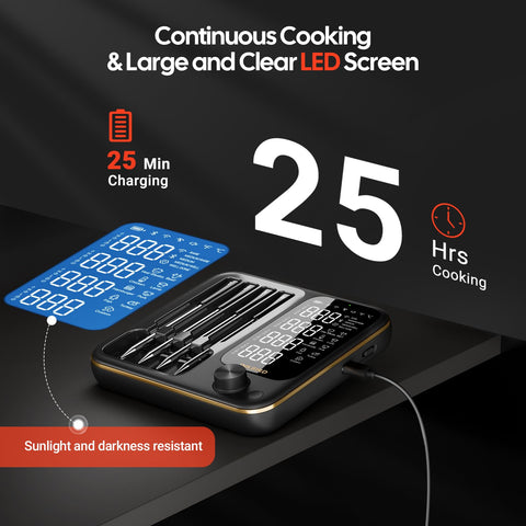 Inkbird probes inserted in a roast demonstrating multi-probe tracking benefits