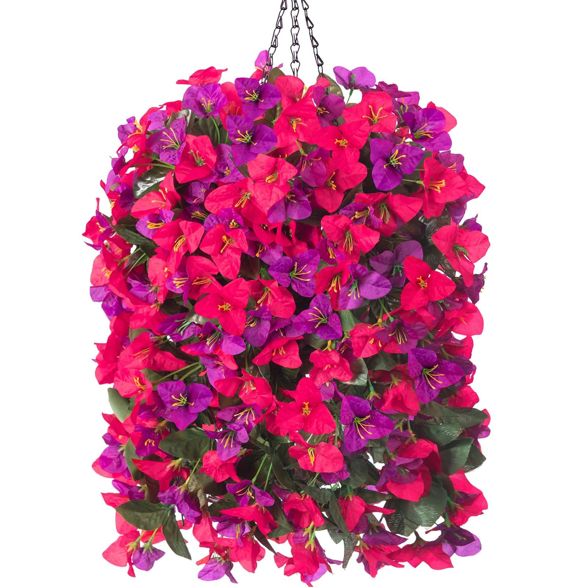 INSPRING bougainvillea front view showing full trailing flowers and instant curb appeal