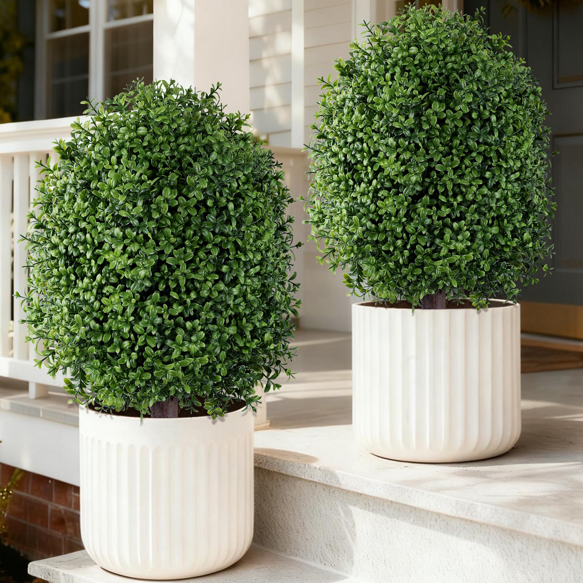 INSPRING front view topiary showing neat silhouette and instant curb appeal