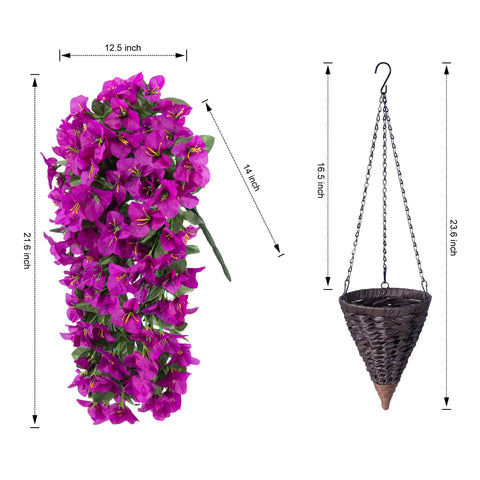 INSPRING hanging basket beside doorway showing scale and welcoming entry benefit