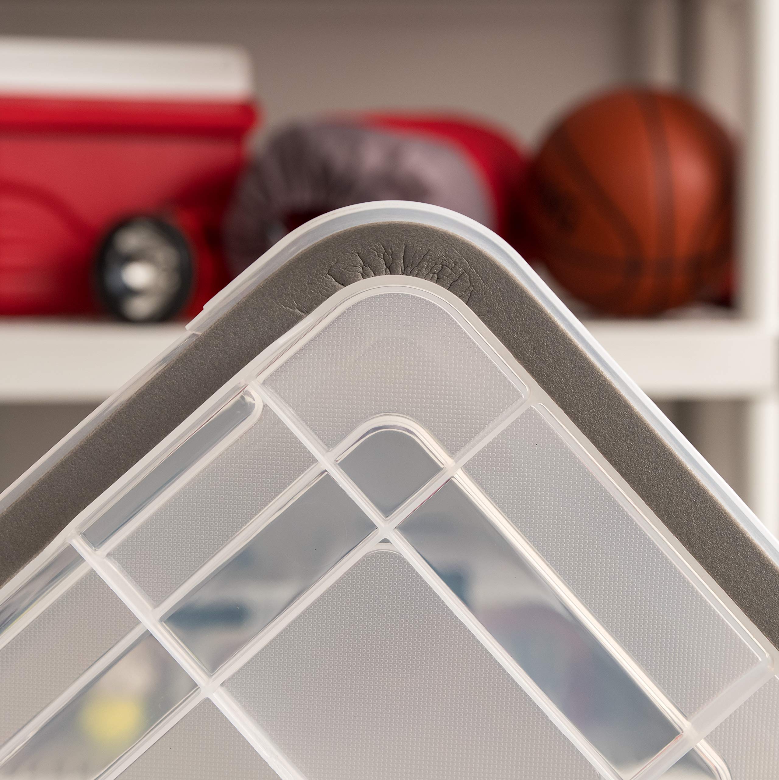 IRIS USA lid and label area showing easy identification benefit