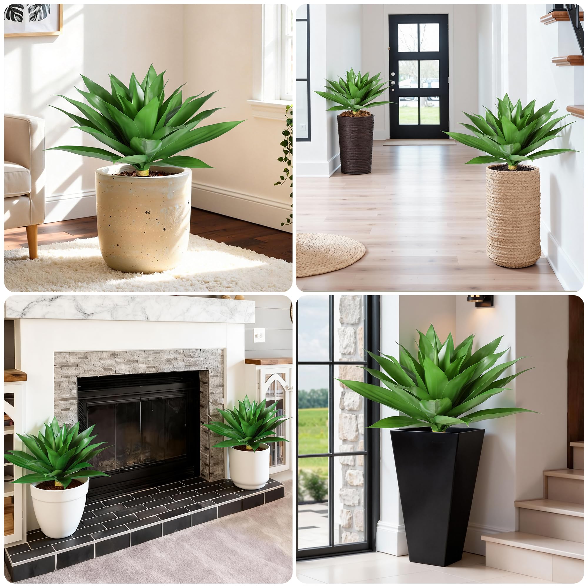 Ivydale agave in an entryway creating year-round green decor