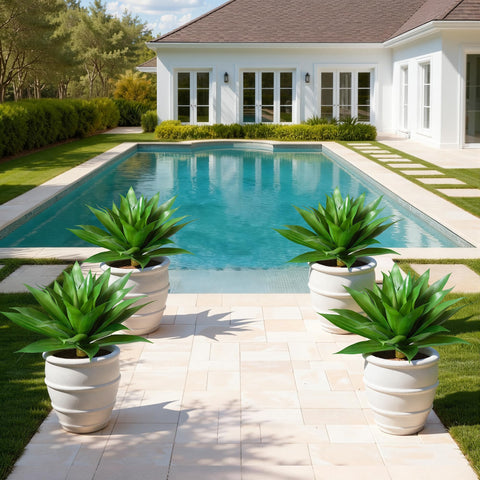 Ivydale agave pair in garden bed providing lasting landscape impact