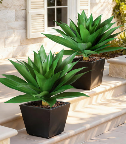 Ivydale agave styled in a planter on a porch adding maintenance-free charm