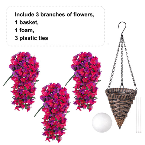 Ivydale bougainvillea beside doorway for scale and attractive entryway decoration