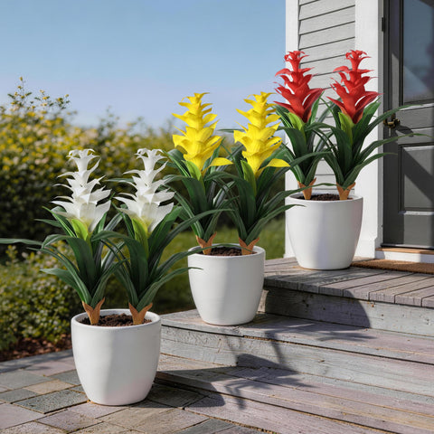 Ivydale bromeliads used as event centerpiece offering durable decor