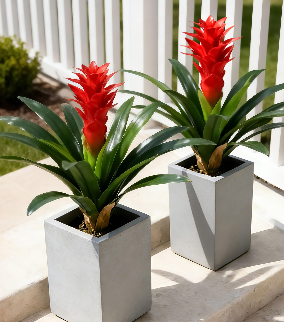 Ivydale red bromeliad front view showing lifelike bloom and vibrant color