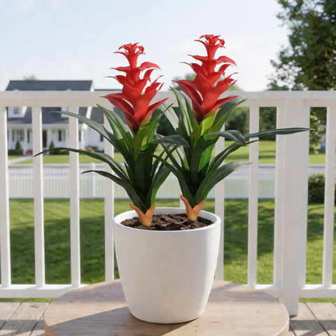 Ivydale bromeliad styled in a planter demonstrating arrangement flexibility