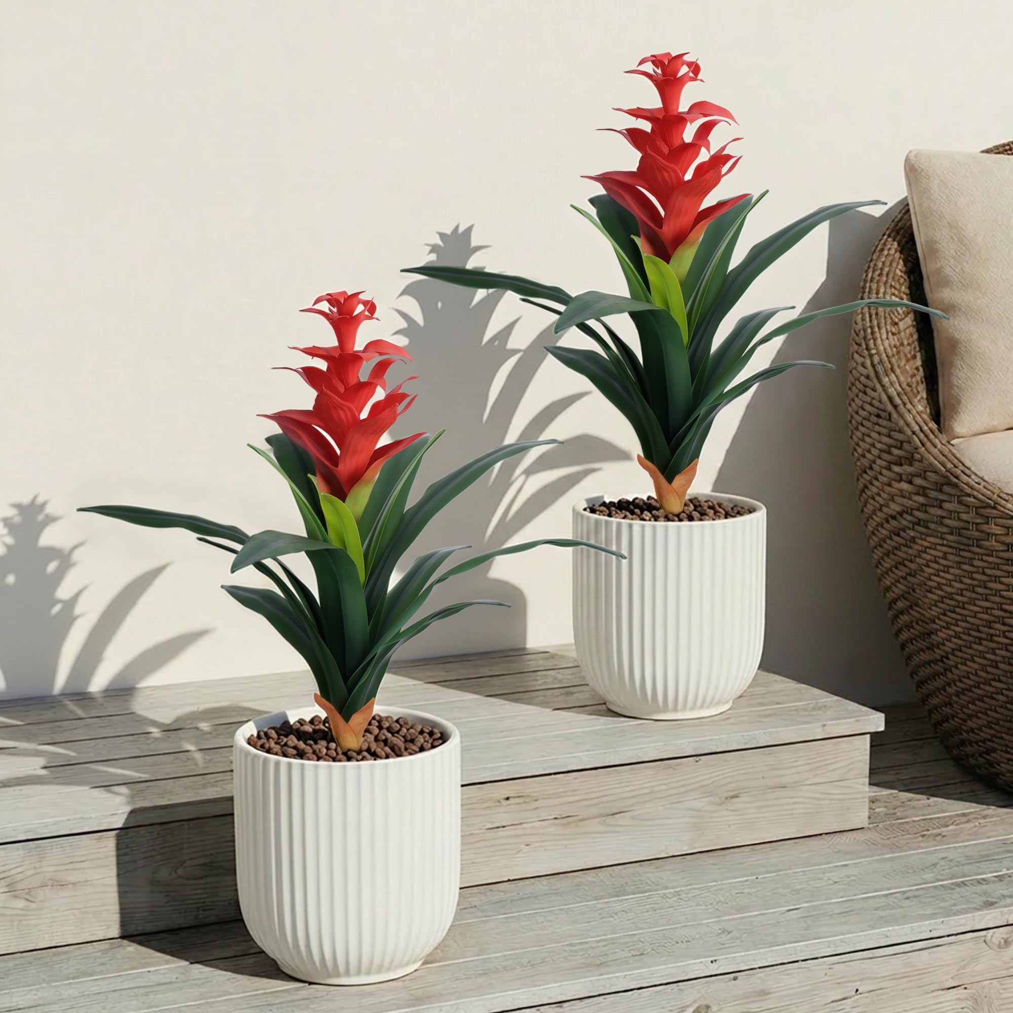 Ivydale bromeliads on patio providing year-round tropical curb appeal