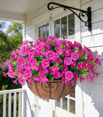 Ivydale front view hanging basket showing full floral display and curb appeal