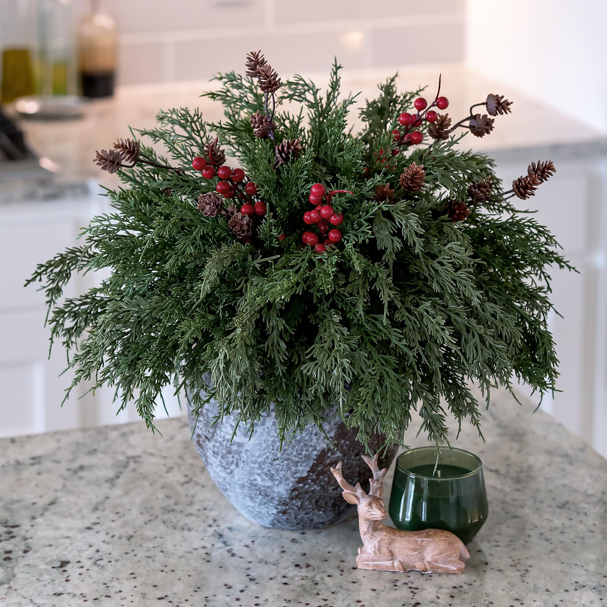 Ivydale stems beside a ruler showing size and scale benefit