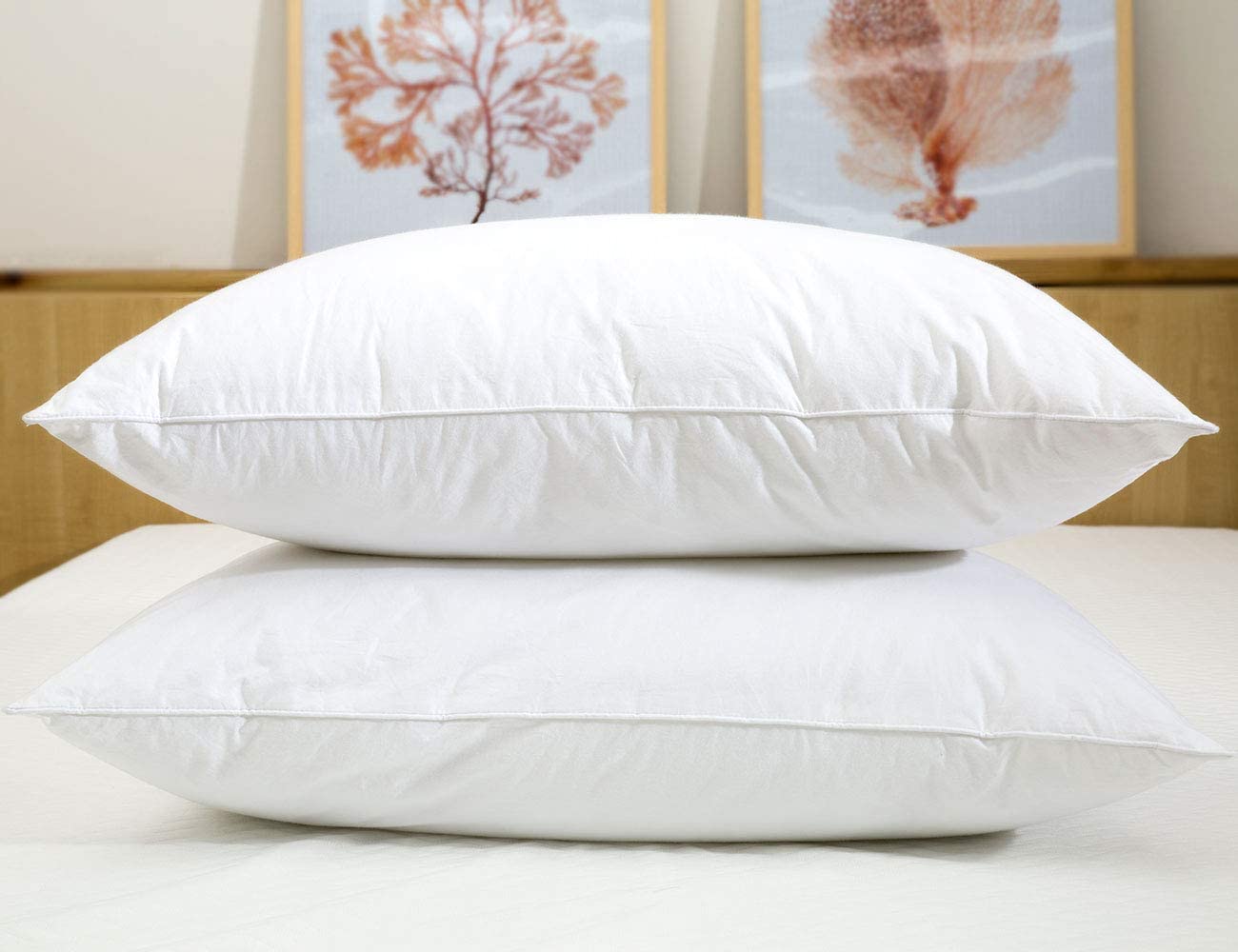 JA COMFORTS pillow next to ruler for size scale and accurate expectations