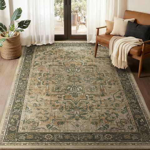 Jainmy front view of 5x7 medallion rug showing vintage pattern and style benefit