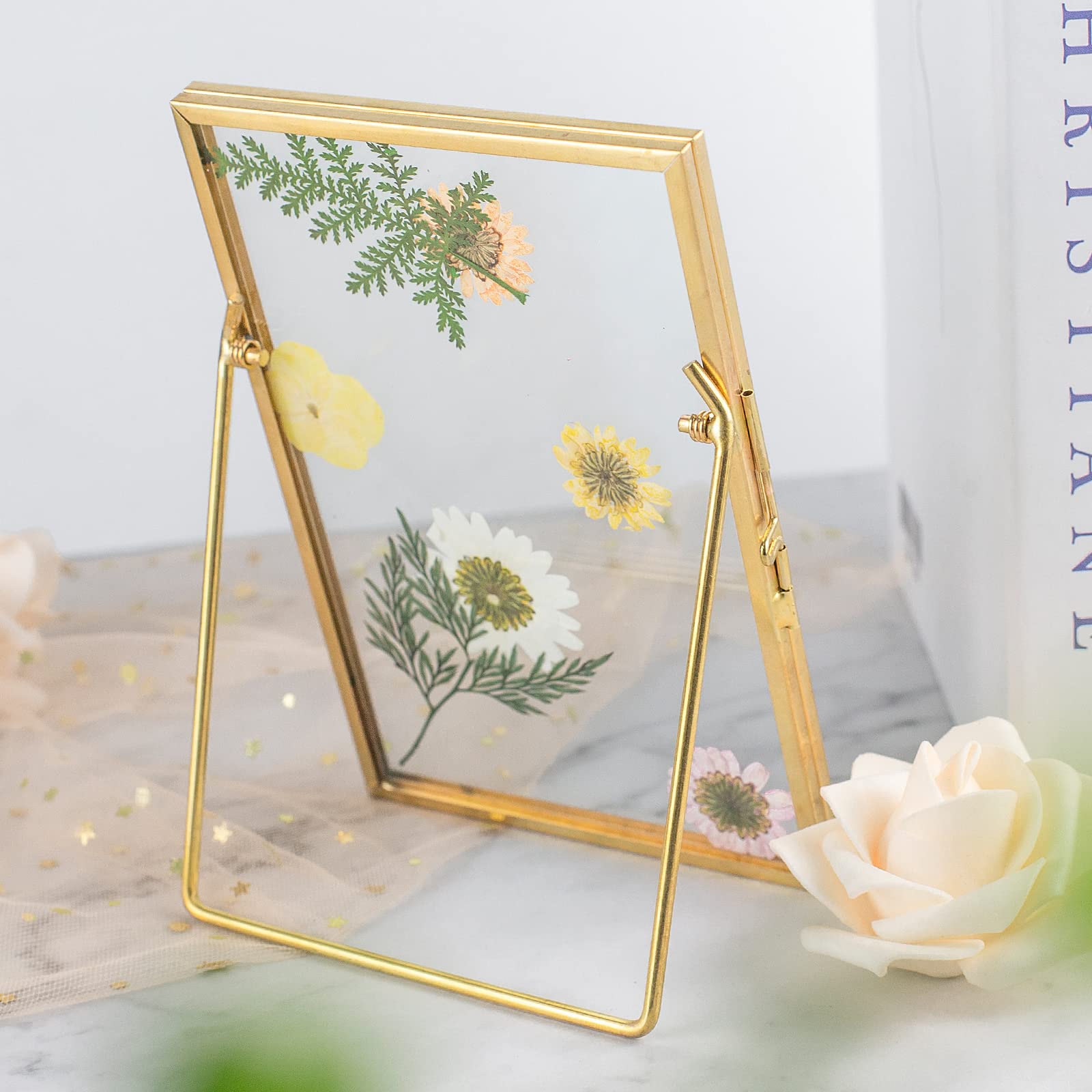 Jajamy close detail of pressed flower inside glass frame preserving bloom