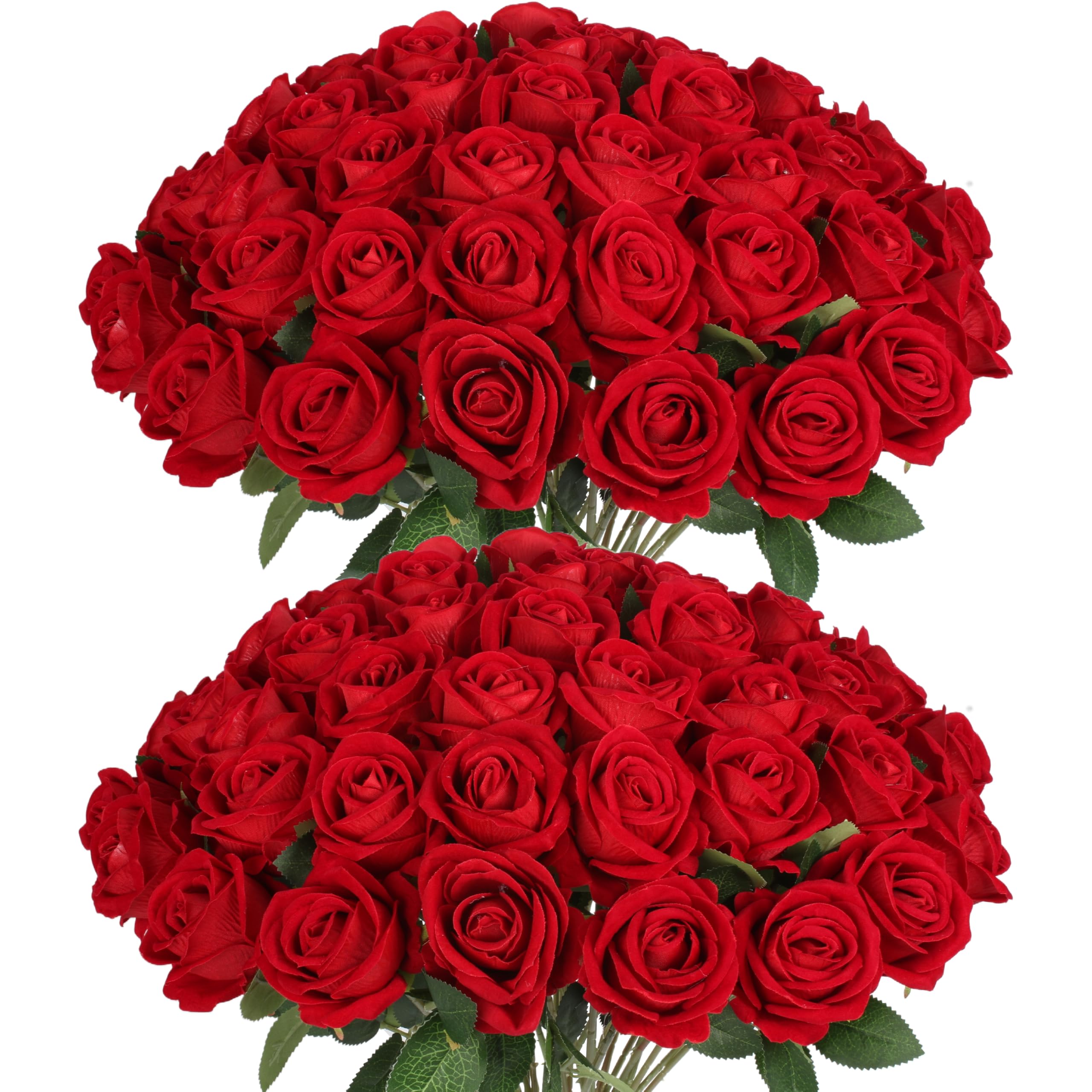 Jefuzh front packaging showing 50 red roses, ideal for bulk events