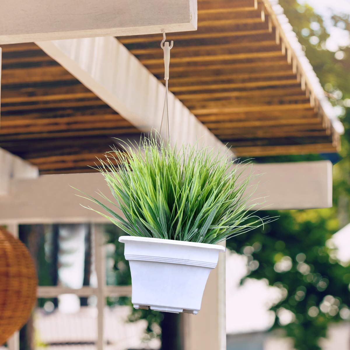 JEMONG arranged in porch planters creating low-maintenance greenery