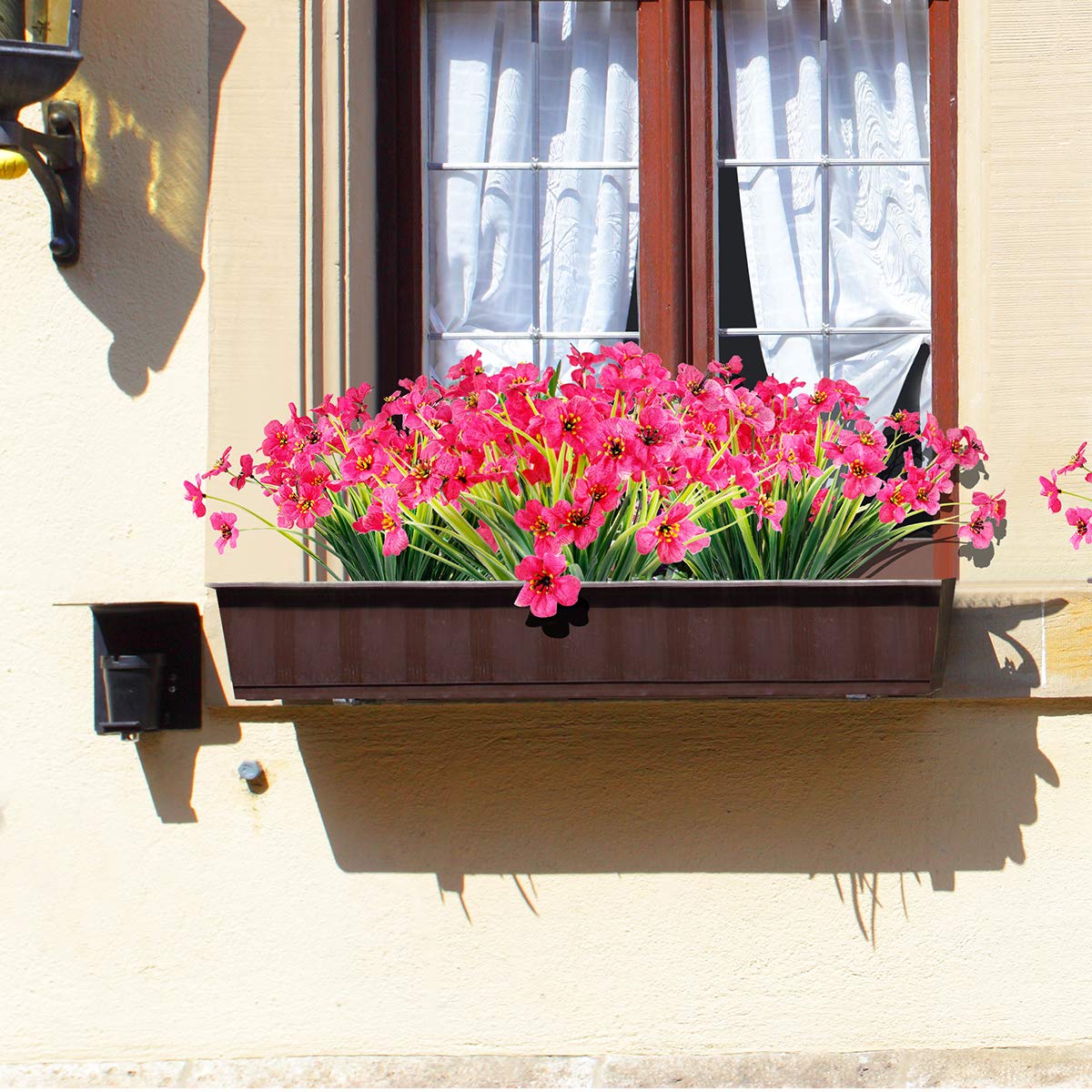 JEMONG in a window box demonstrating vibrant porch curb appeal