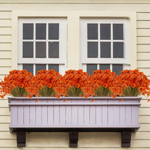 JEMONG arranged in a window box adding long-lasting autumn curb appeal