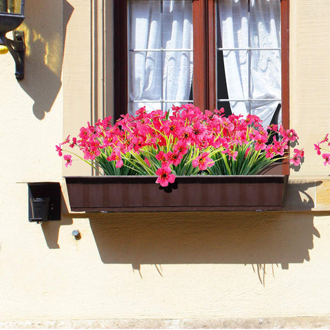 JEMONG in a window box demonstrating vibrant porch curb appeal
