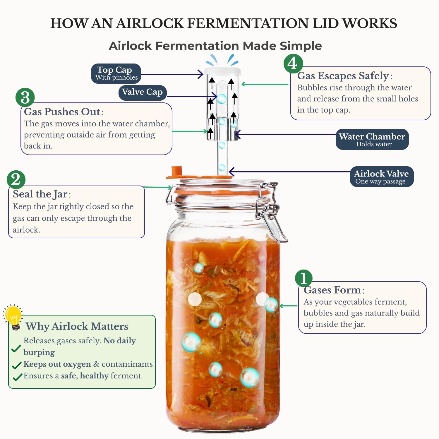 JILLMO jar in use with kimchi demonstrating visible fermentation activity benefit