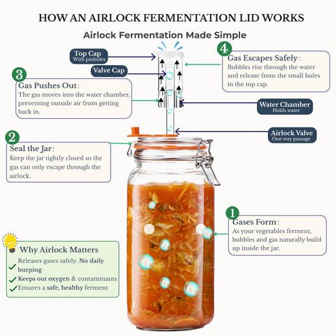 JILLMO jar in use with kimchi demonstrating visible fermentation activity benefit