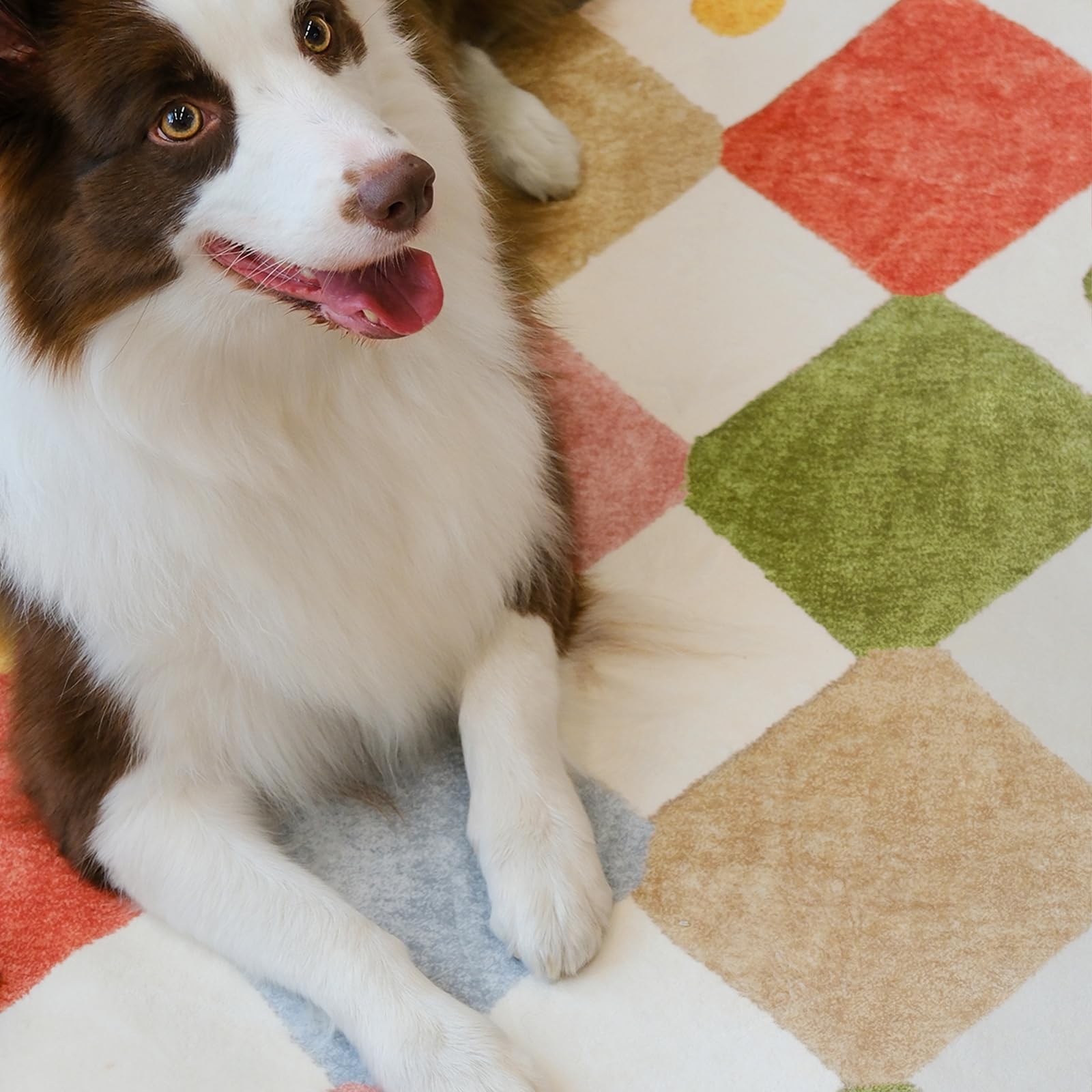 jinchan rug placed in a nursery creating a cozy, colorful play surface for infants