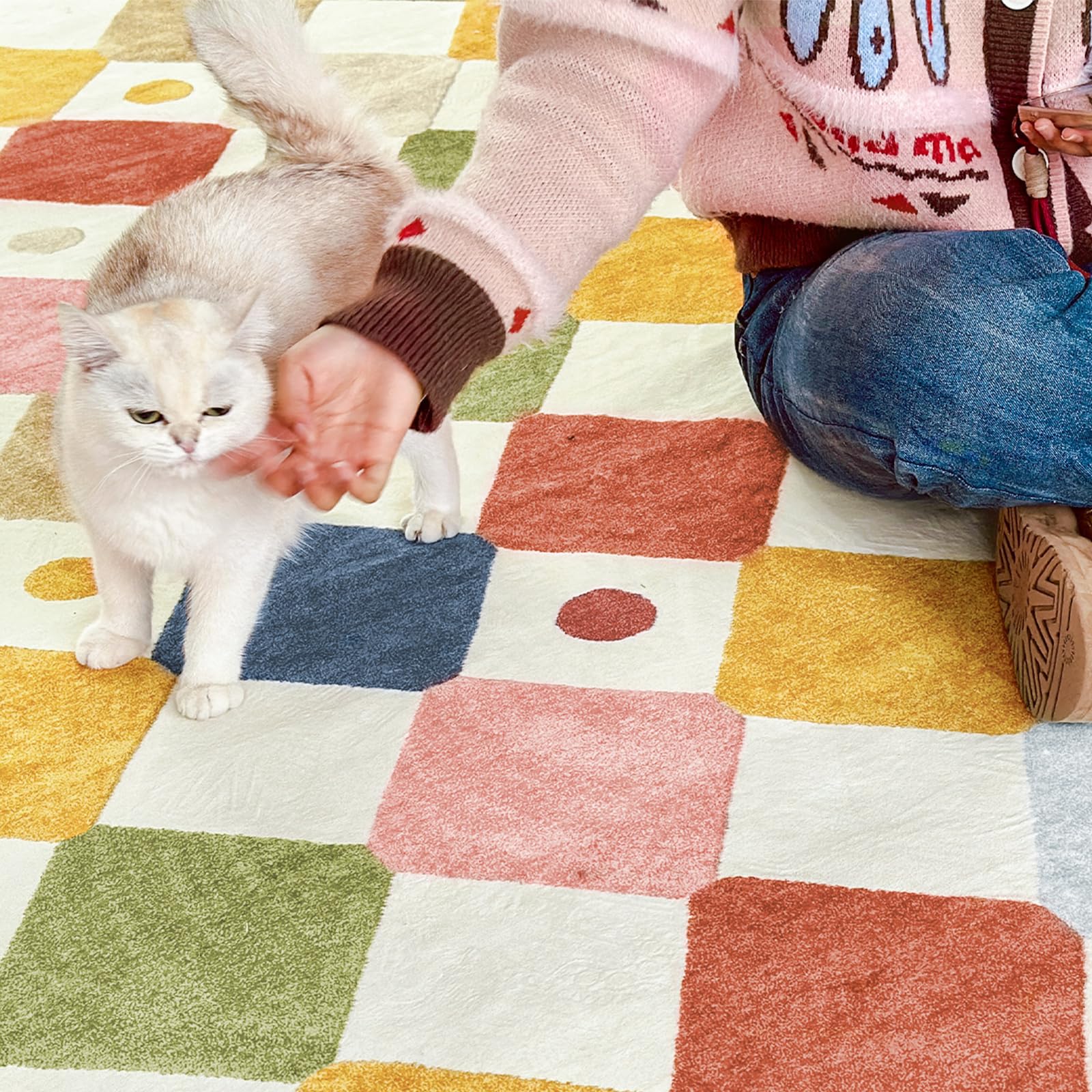 jinchan rug in a playroom with toys showing durable, pet-friendly everyday use