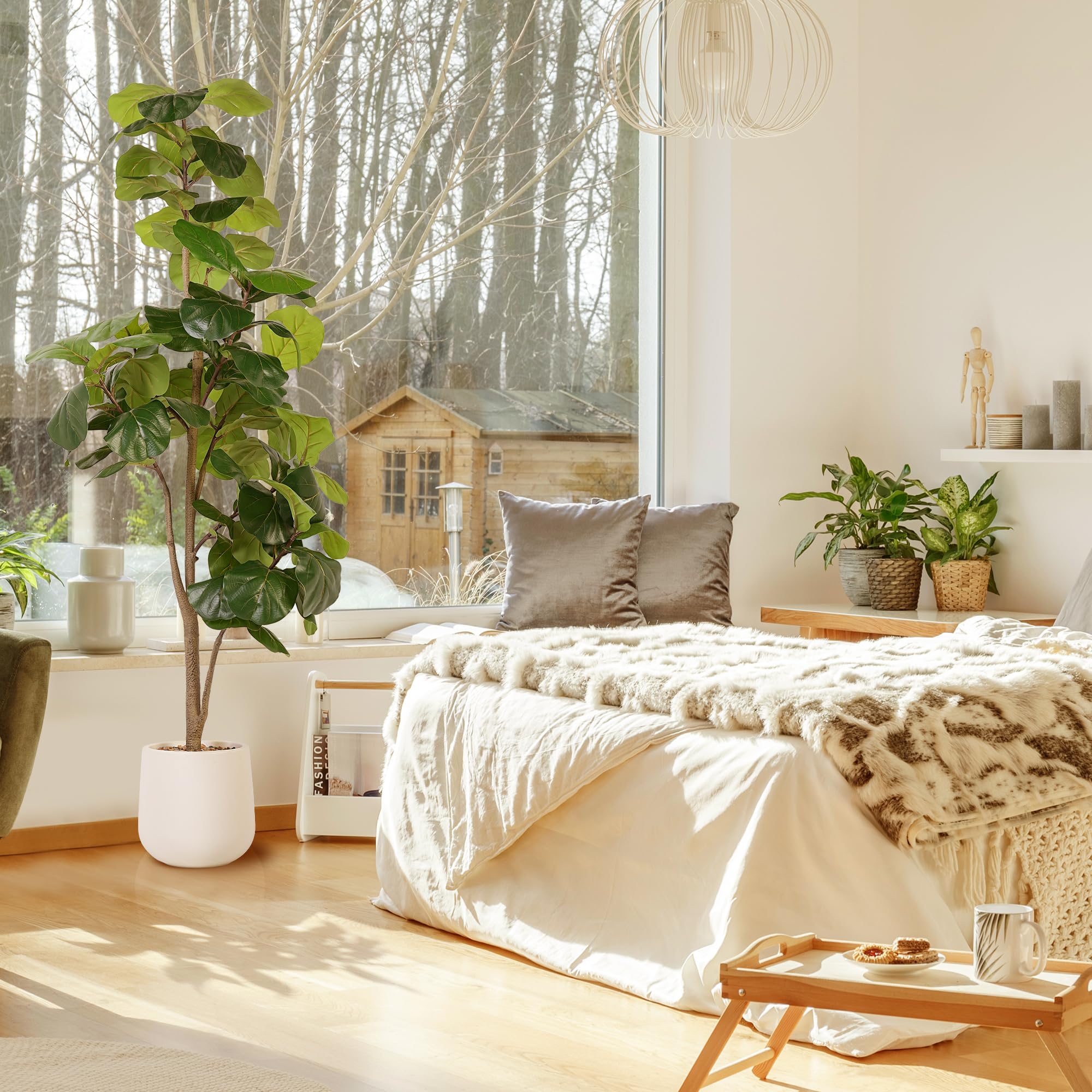 Jocoevol tree styled in a living room offers low-maintenance greenery