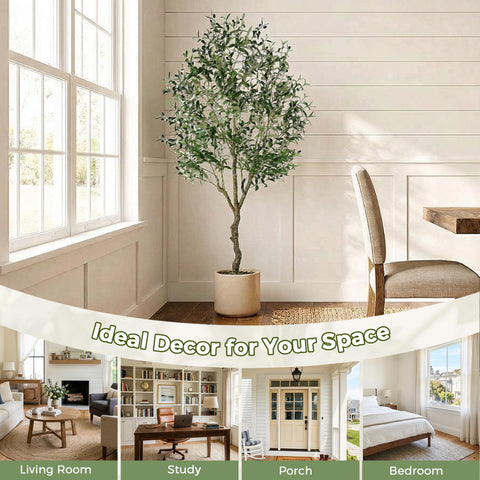 Jocoevol assembly detail illustrates easy setup and adjustable branches
